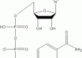 β-二磷吡啶核苷酸结构式