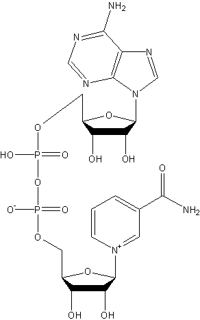 β-二磷吡啶核苷酸结构式