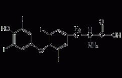 L-甲状腺素结构式