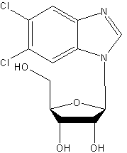 5,6-二氯-1-β-D-呋喃核糖基并咪唑结构式