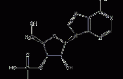 腺苷酸结构式