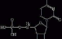 5'-单磷酸胞苷结构式