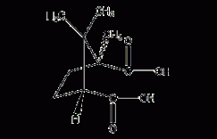 (+)-樟脑酸结构式