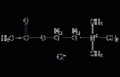 氯化乙酰胆碱结构式