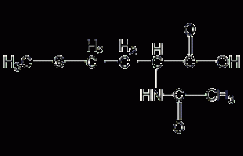 N-乙酰-L-甲硫氨酸结构式